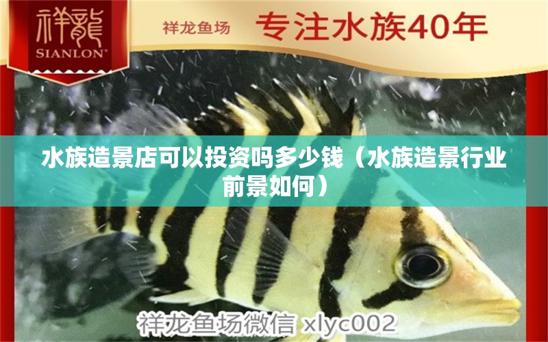 水族造景店可以投资吗多少钱（水族造景行业前景如何）