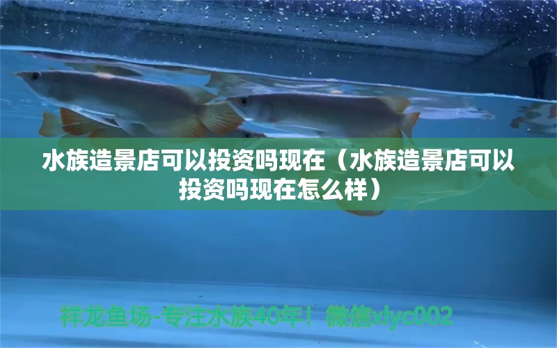 水族造景店可以投资吗现在（水族造景店可以投资吗现在怎么样）