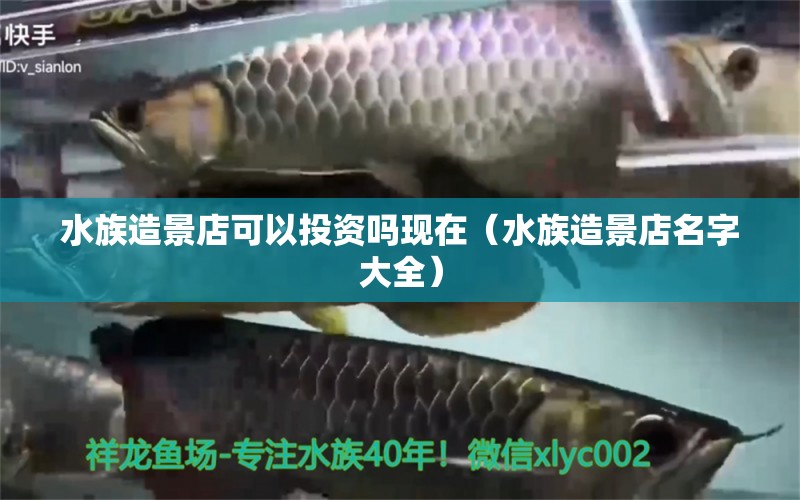 水族造景店可以投资吗现在（水族造景店名字大全） 观赏鱼