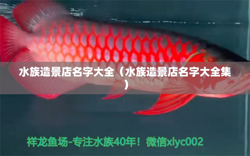 水族造景店名字大全（水族造景店名字大全集）