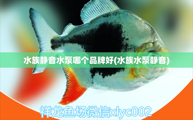 水族静音水泵哪个品牌好(水族水泵静音)