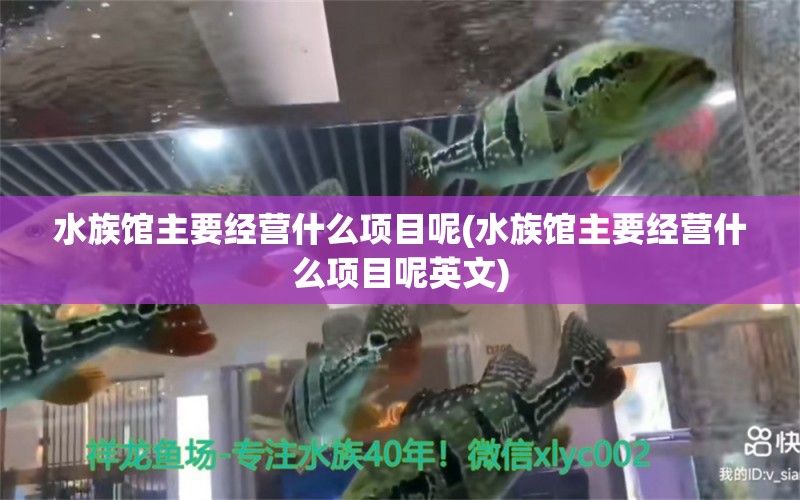 水族馆主要经营什么项目呢(水族馆主要经营什么项目呢英文) 福虎/异型虎鱼/纯色虎鱼