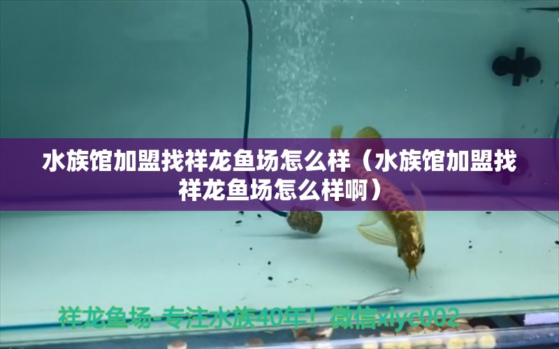 水族馆加盟找祥龙鱼场怎么样（水族馆加盟找祥龙鱼场怎么样啊）