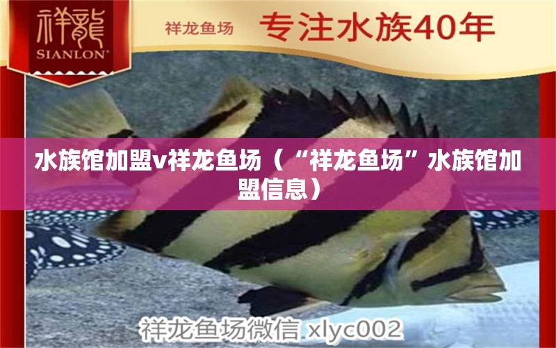 水族馆加盟v祥龙鱼场（“祥龙鱼场”水族馆加盟信息） 龙鱼百科 第2张