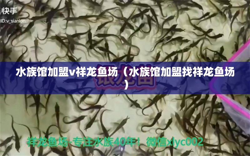 水族馆加盟v祥龙鱼场（水族馆加盟找祥龙鱼场）