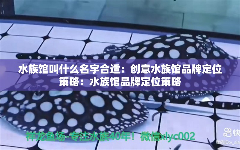 水族馆叫什么名字合适：创意水族馆品牌定位策略：水族馆品牌定位策略 水族馆百科（水族馆加盟） 第1张