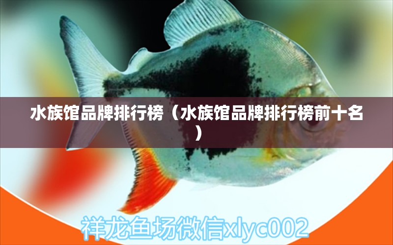 水族馆品牌排行榜（水族馆品牌排行榜前十名）