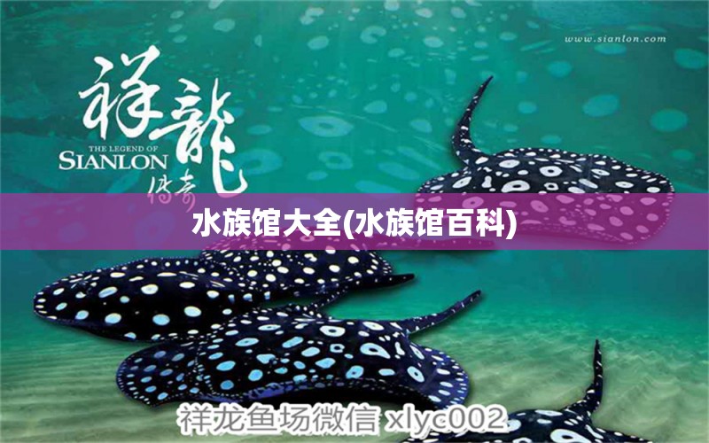 水族馆大全(水族馆百科) 双线侧鱼