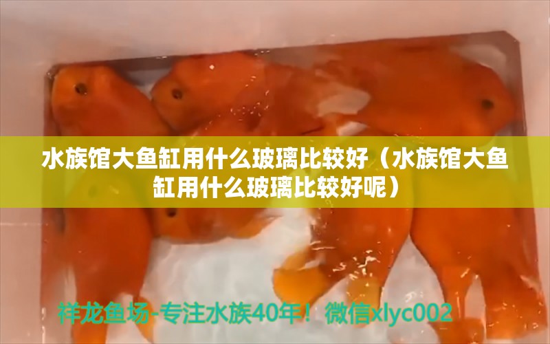 水族馆大鱼缸用什么玻璃比较好（水族馆大鱼缸用什么玻璃比较好呢）