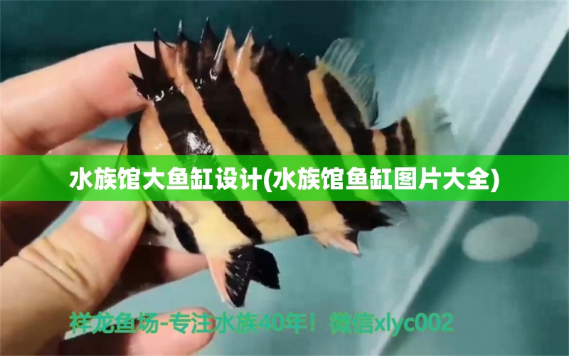 水族馆大鱼缸设计(水族馆鱼缸图片大全)