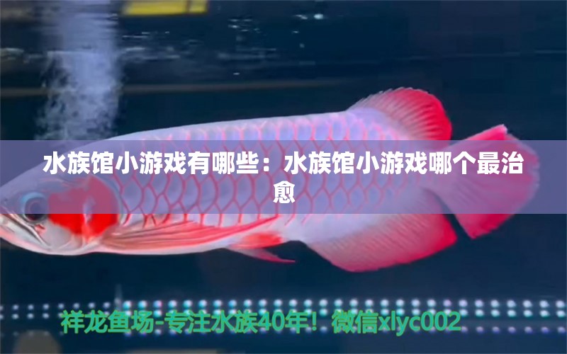 水族馆小游戏有哪些：水族馆小游戏哪个最治愈 水族馆百科（水族馆加盟） 第1张