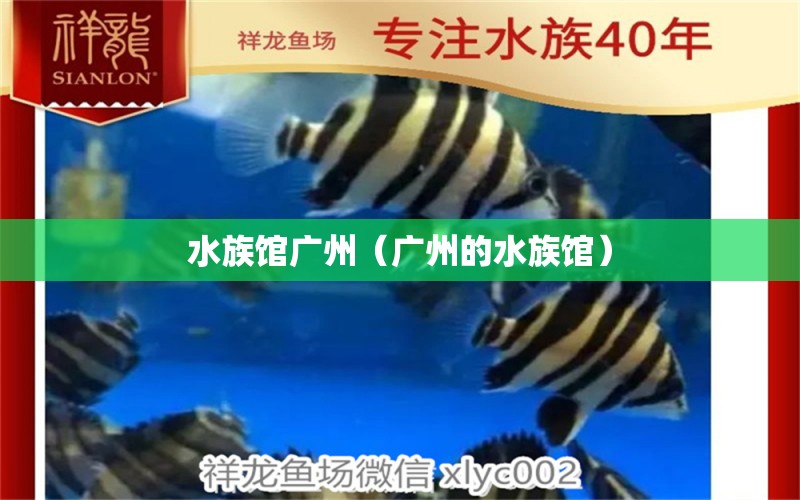 水族馆广州（广州的水族馆）