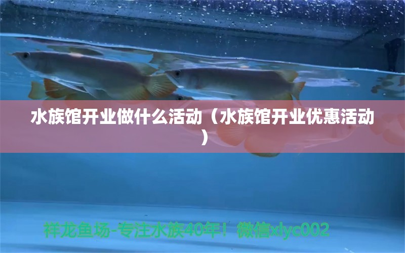 水族馆开业做什么活动（水族馆开业优惠活动）