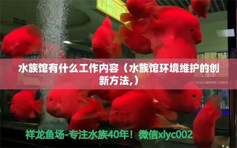 水族馆有什么工作内容（水族馆环境维护的创新方法,） 水族馆百科（水族馆加盟） 第1张