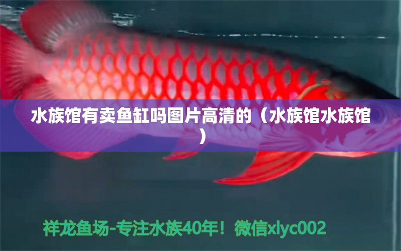 水族馆有卖鱼缸吗图片高清的（水族馆水族馆）