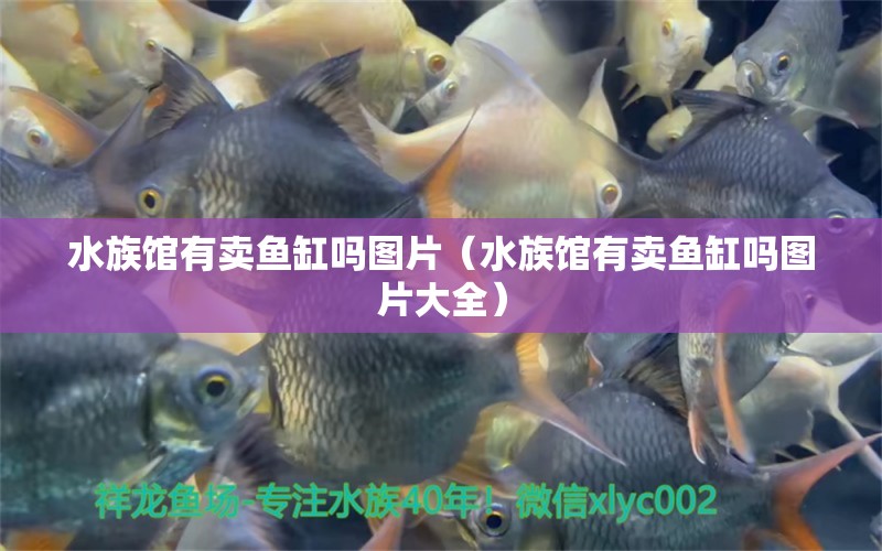 水族馆有卖鱼缸吗图片（水族馆有卖鱼缸吗图片大全） 祥龙水族医院