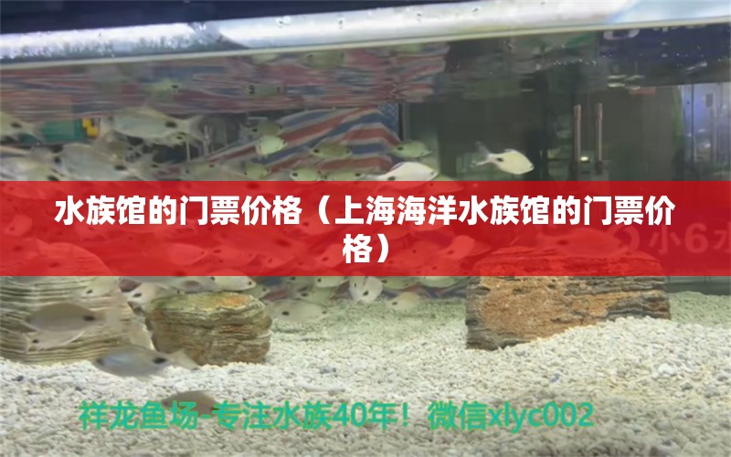 水族馆的门票价格（上海海洋水族馆的门票价格）