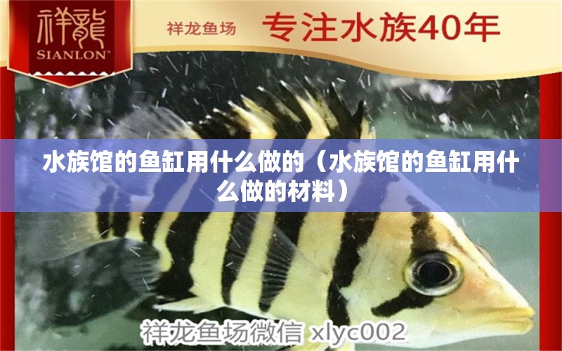 水族馆的鱼缸用什么做的（水族馆的鱼缸用什么做的材料）