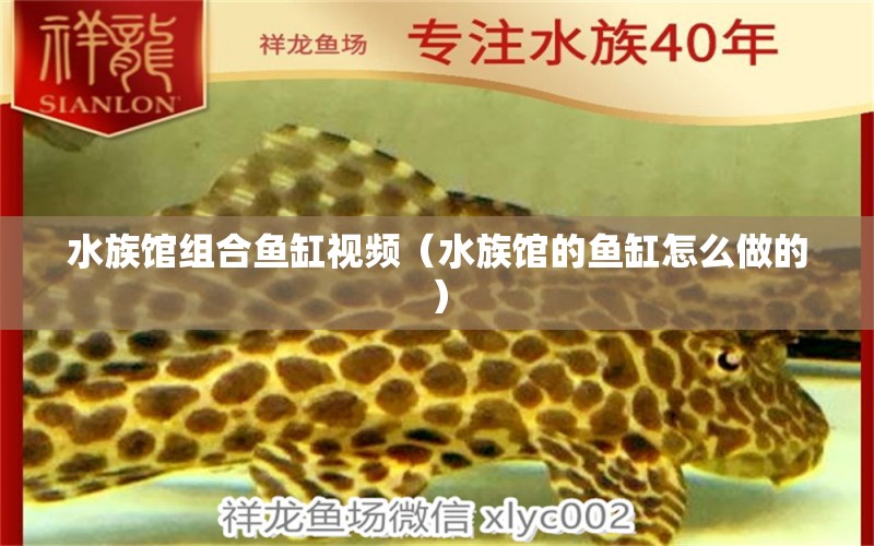 水族馆组合鱼缸视频（水族馆的鱼缸怎么做的） 其他品牌鱼缸