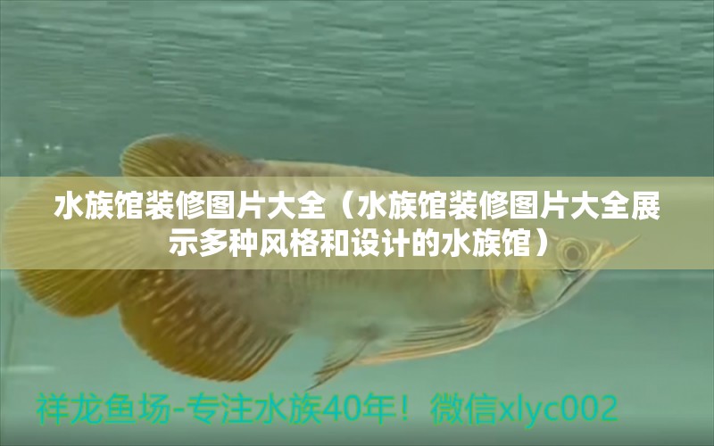 水族馆装修图片大全（水族馆装修图片大全展示多种风格和设计的水族馆）