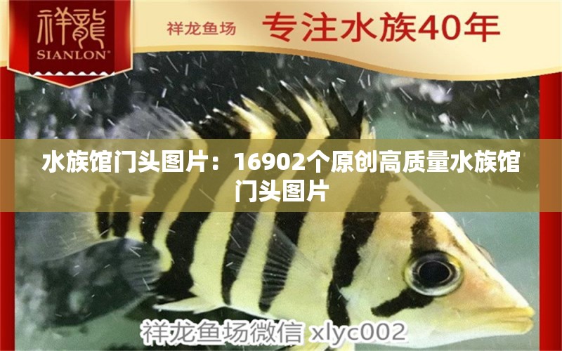 水族馆门头图片：16902个原创高质量水族馆门头图片 水族馆百科（水族馆加盟） 第1张