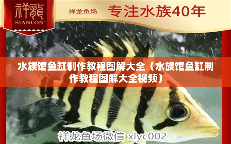 水族馆鱼缸制作教程图解大全（水族馆鱼缸制作教程图解大全视频）