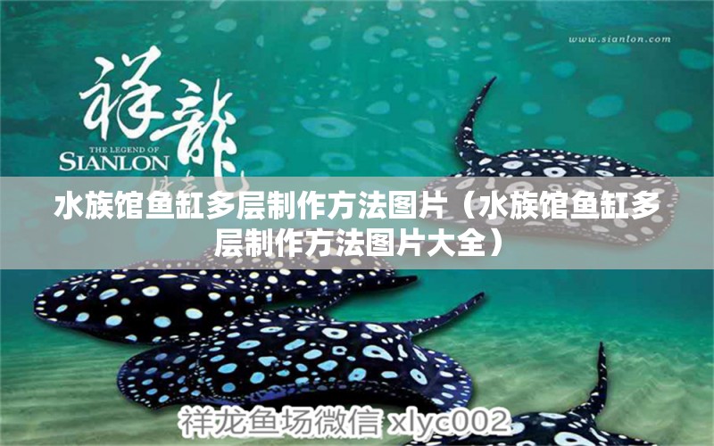 水族馆鱼缸多层制作方法图片（水族馆鱼缸多层制作方法图片大全）