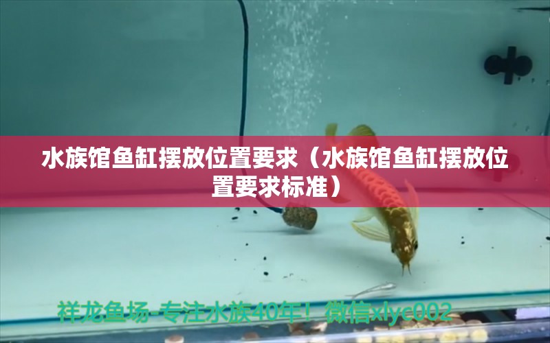 水族馆鱼缸摆放位置要求（水族馆鱼缸摆放位置要求标准）