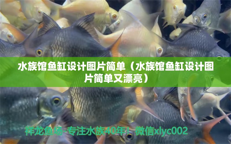 水族馆鱼缸设计图片简单（水族馆鱼缸设计图片简单又漂亮） 观赏鱼市场（混养鱼）