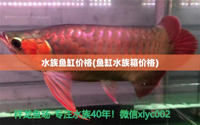 水族鱼缸价格(鱼缸水族箱价格)