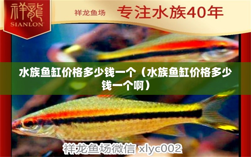 水族鱼缸价格多少钱一个（水族鱼缸价格多少钱一个啊） 大湖红龙鱼