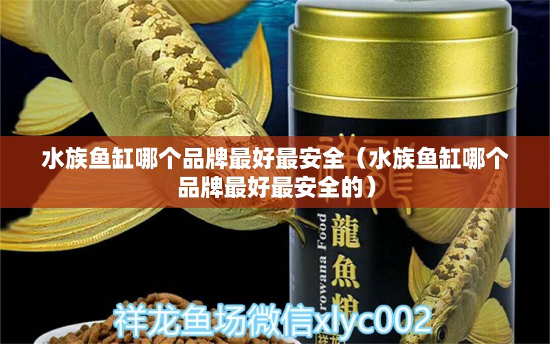 水族鱼缸哪个品牌最好最安全（水族鱼缸哪个品牌最好最安全的） 祥龙水族医院