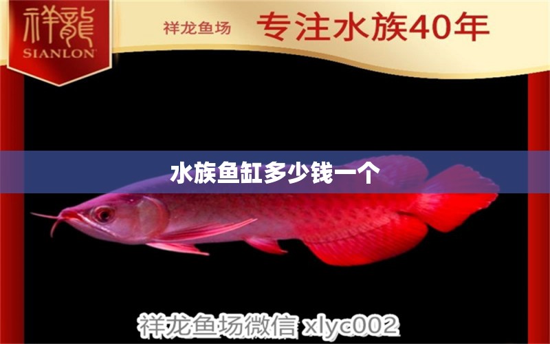 水族鱼缸多少钱一个 祥龙鱼场