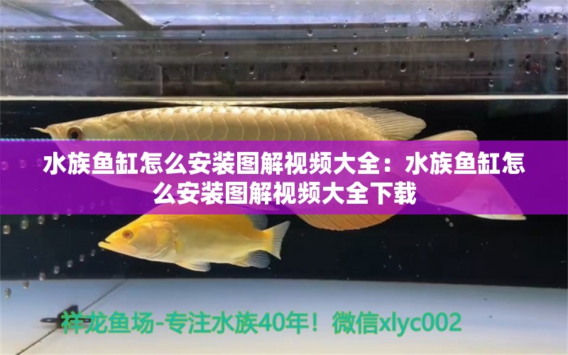 水族鱼缸怎么安装图解视频大全：水族鱼缸怎么安装图解视频大全下载