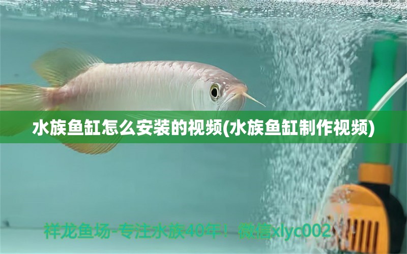 水族鱼缸怎么安装的视频(水族鱼缸制作视频) 红头利鱼 第1张