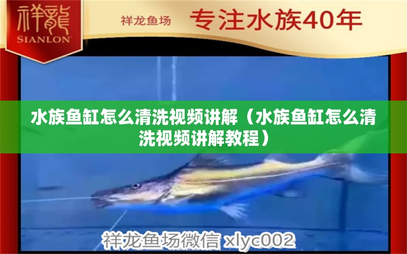 水族鱼缸怎么清洗视频讲解（水族鱼缸怎么清洗视频讲解教程）