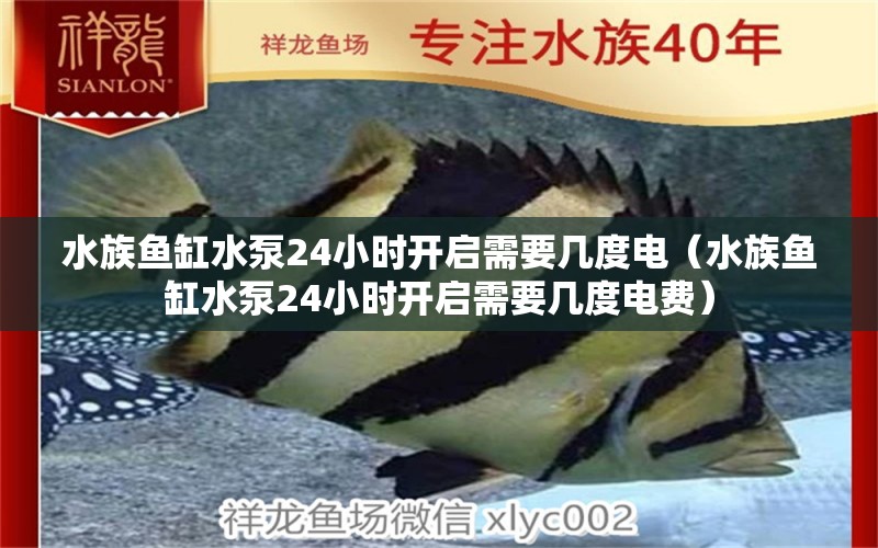 水族鱼缸水泵24小时开启需要几度电（水族鱼缸水泵24小时开启需要几度电费） 鱼缸水泵