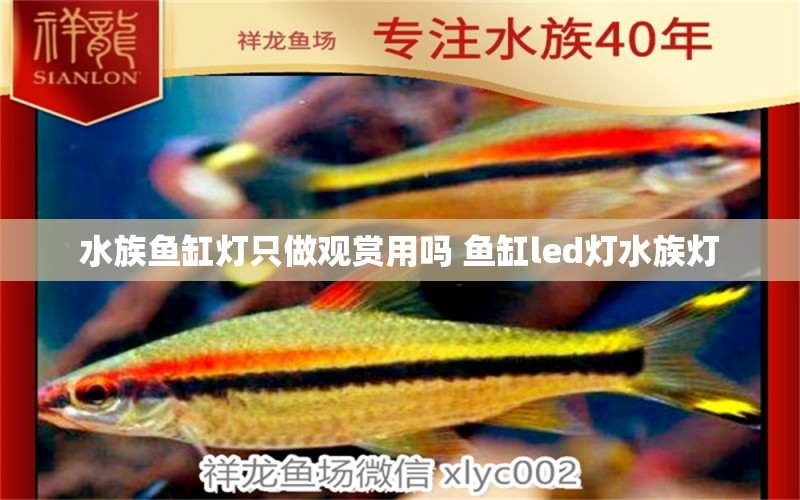 水族鱼缸灯只做观赏用吗 鱼缸led灯水族灯