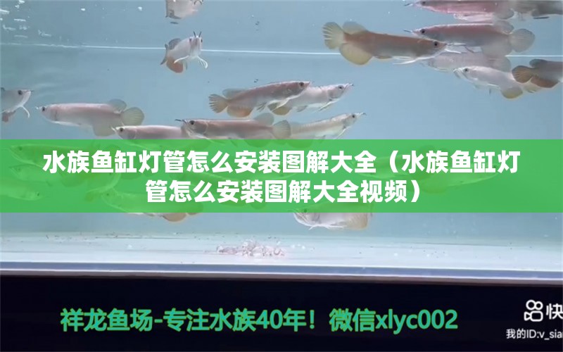 水族鱼缸灯管怎么安装图解大全（水族鱼缸灯管怎么安装图解大全视频）