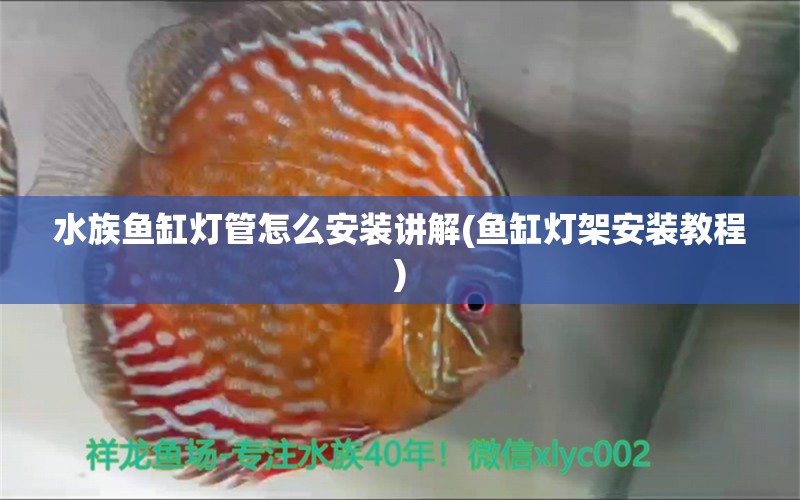 水族鱼缸灯管怎么安装讲解(鱼缸灯架安装教程)