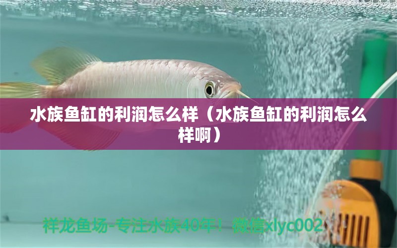 水族鱼缸的利润怎么样（水族鱼缸的利润怎么样啊）