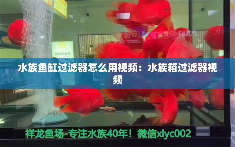 水族鱼缸过滤器怎么用视频：水族箱过滤器视频