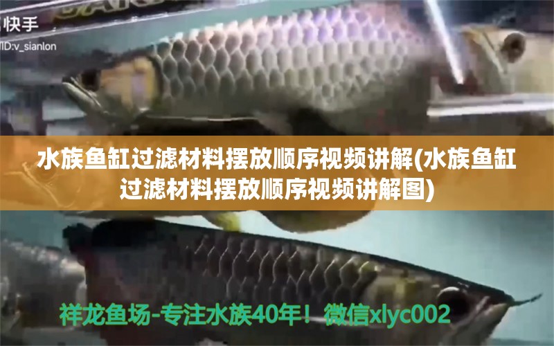 水族鱼缸过滤材料摆放顺序视频讲解(水族鱼缸过滤材料摆放顺序视频讲解图) 暹罗巨鲤 第1张