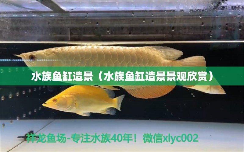 水族鱼缸造景（水族鱼缸造景景观欣赏）