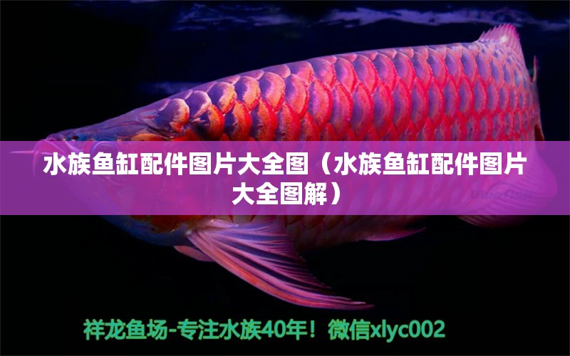 水族鱼缸配件图片大全图（水族鱼缸配件图片大全图解）