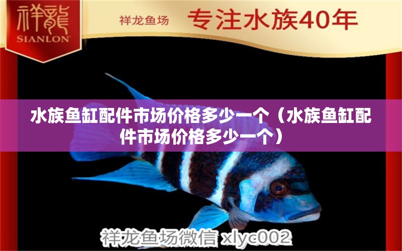 水族鱼缸配件市场价格多少一个（水族鱼缸配件市场价格多少一个） B级过背金龙鱼