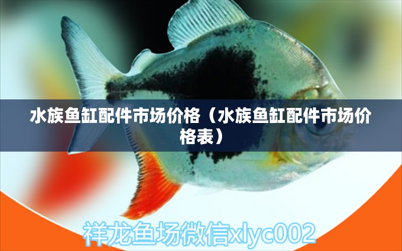 水族鱼缸配件市场价格（水族鱼缸配件市场价格表） 泰庞海莲鱼