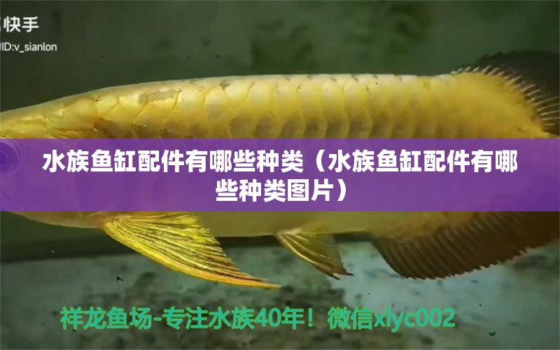 水族鱼缸配件有哪些种类（水族鱼缸配件有哪些种类图片）