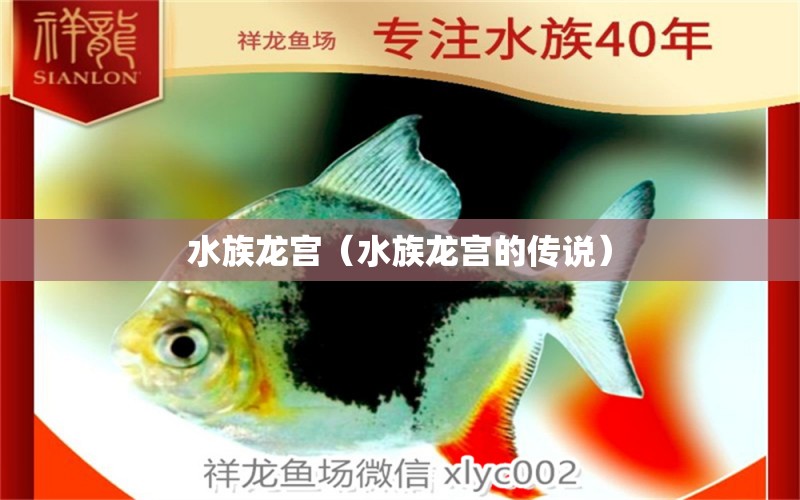 水族龙宫（水族龙宫的传说） 全国水族馆企业名录