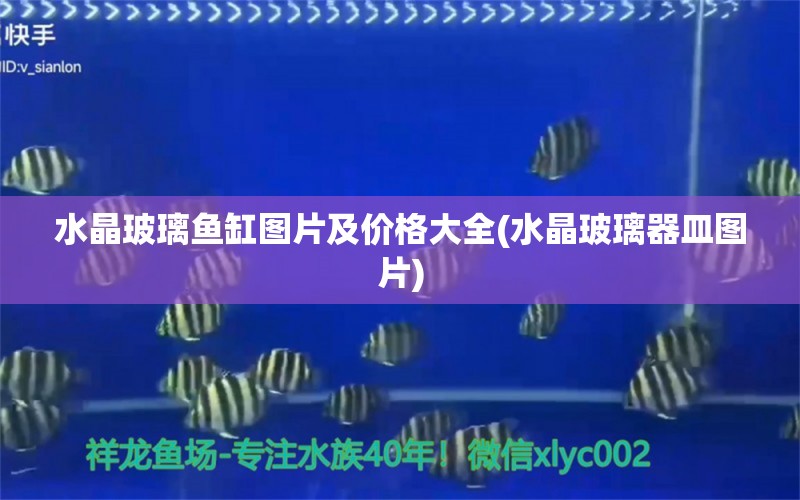 水晶玻璃鱼缸图片及价格大全(水晶玻璃器皿图片)